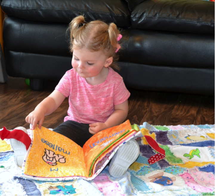 How To: Hailey’s Quilted and Embroidered Fabric Doggie Book | Designs ...