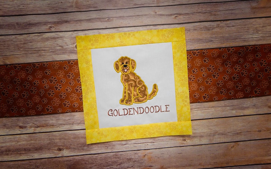 set5-goldendoodle