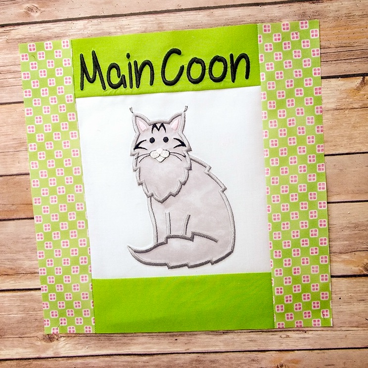 set1-mainecoon-square